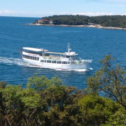 Monvi Tours